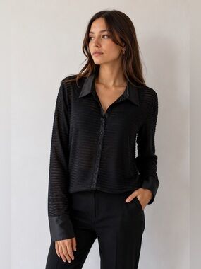 JS Collections black sheer button down 22W